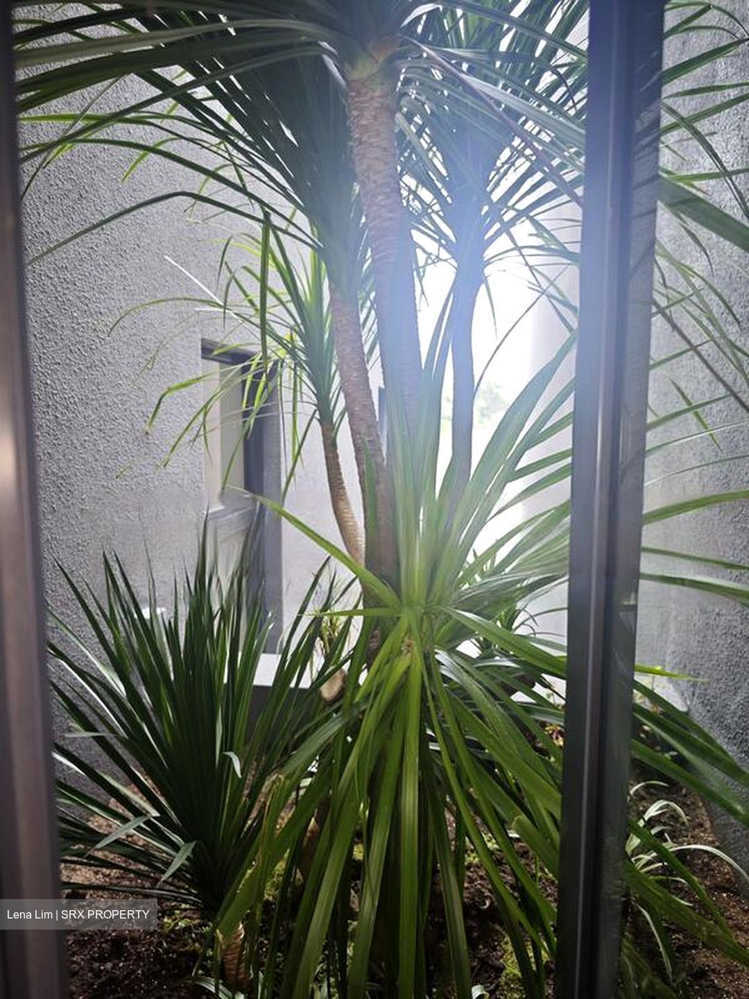 Hillview Estate (D23), Terrace #486700551